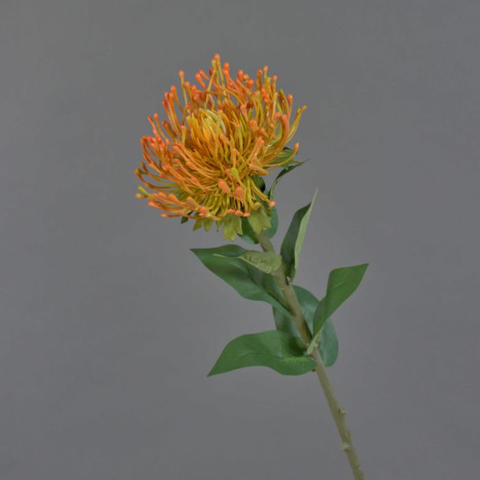 Protea Artificiale Arancione Hervas 70cm - Pianta Finta Di Qualità Per Decorazioni Moderne E Floreali - 6