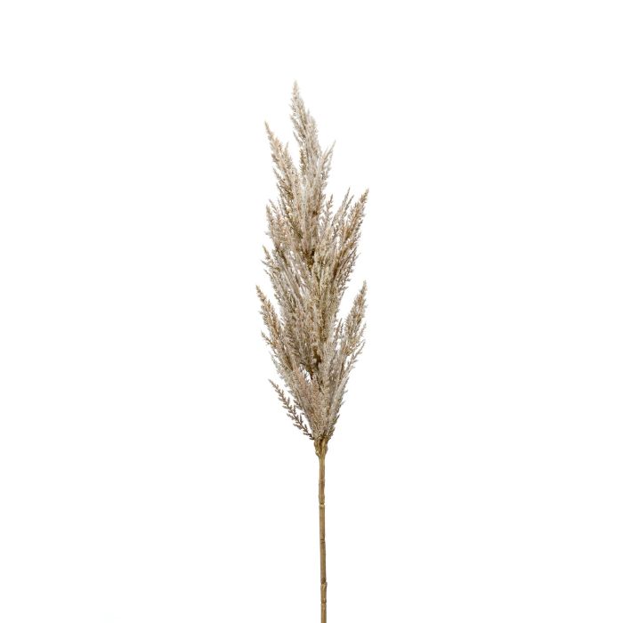 Acheter des Branche artificielle Panicule d'herbe de la pampa BATERNO,  crème, 90cm