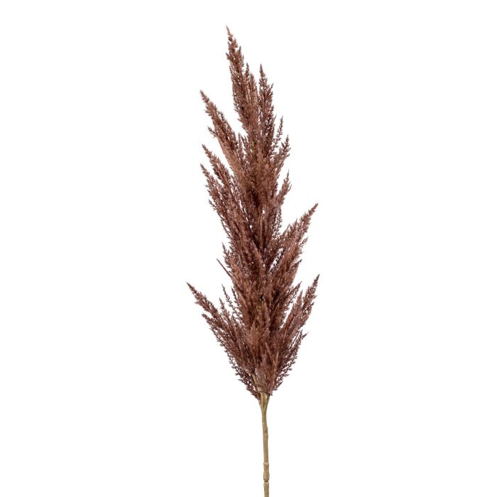 Acheter des Branche artificielle Panicule d'herbe de la pampa BATERNO, brun  foncé, 115cm