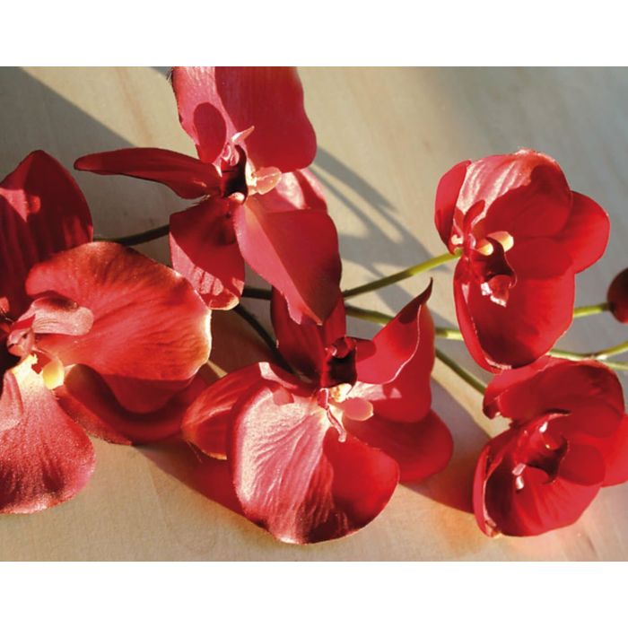 Orchidée Artificielle Phalaenopsis Imprimée En 3D - Rouge - Décoration Intérieure Sans Entretien - 14