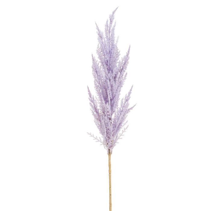 Acheter des Herbe de la pampa artificielle SIWON, violet clair, 90cm