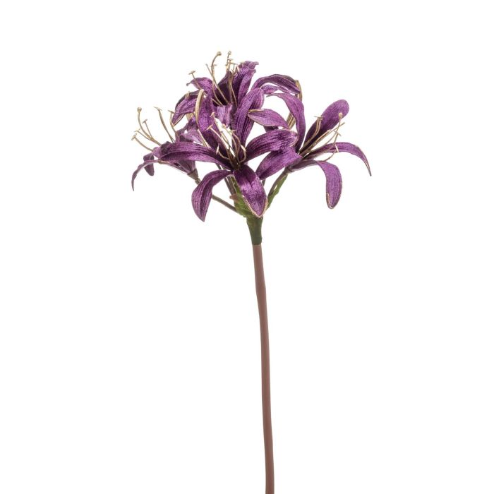Acheter des Amaryllis de jardin en velours TALAITH, violet-or, 65cm