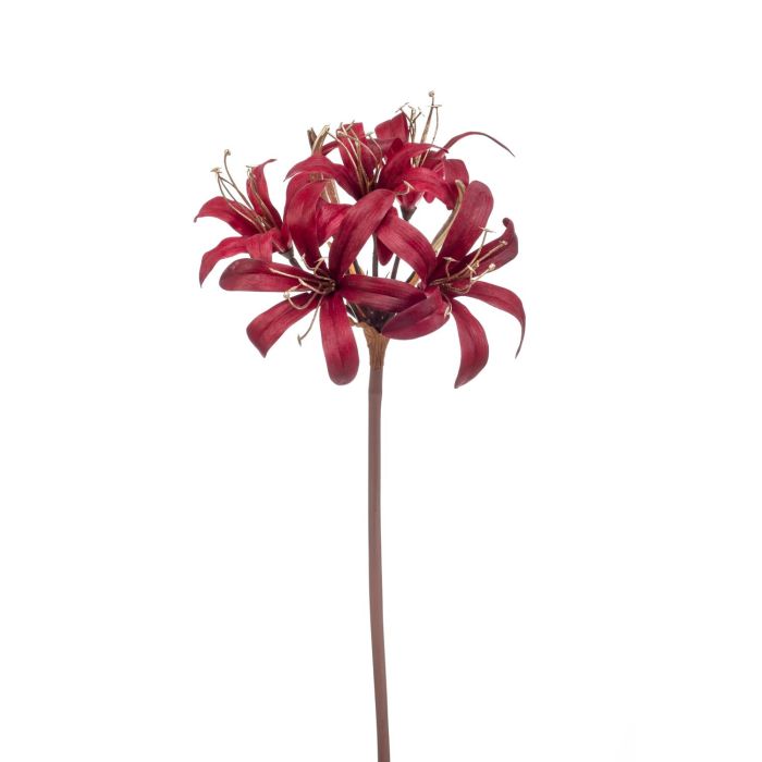 Amaryllis de jardin en velours TALAITH, aspect cuir, bordeaux-or, 65cm