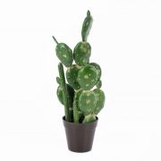Arrangement de cactus artificiel AZURRO, en pot décoratif, vert, 55cm