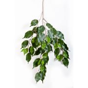 Branche de ficus synthétique SUNIL, vert, 75cm