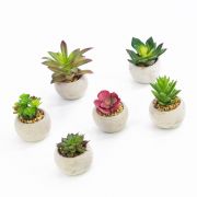 Plantes succulentes artificielles TAYO en pot en beton, 6 pcs, multicolore, 6-10cm