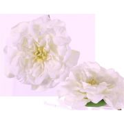 Fleur de rose en soie SASKIA, flottante, crème, 5cm, Ø15cm