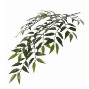 Branche de smilax artificielle JURIA, vert, 70cm