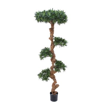 Bonsaï podocarpus synthétique RENZO, tronc naturel, vert, 185cm