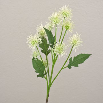 Branche artificielle Chardon boule GESKENDA, crème-blanc, 60cm