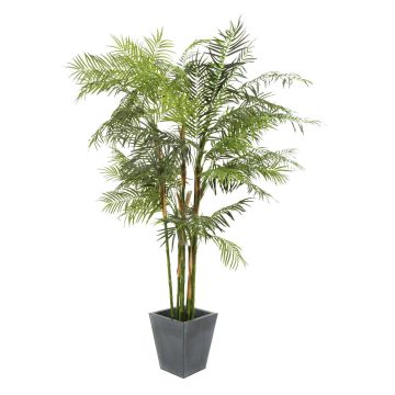 Palmier Areca en plastique OLESSA, 280cm