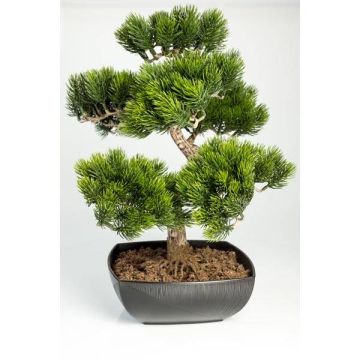Bonsaï pin artificiel SHADIA, racines, coupe déco, vert, 50cm
