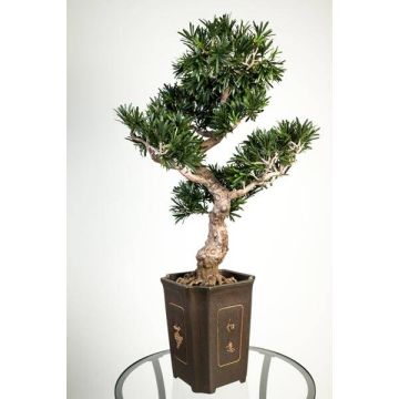 Faux bonsai podocarpus TRISTAN, racines, pot déco, vert, 90cm