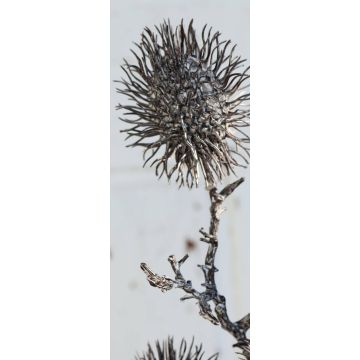 Branche de ramboutan artificielle WARDA, brun-blanc, 60cm