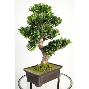 Bonsai buis artificiel JELKO, racines, coupe déco, vert, 65cm