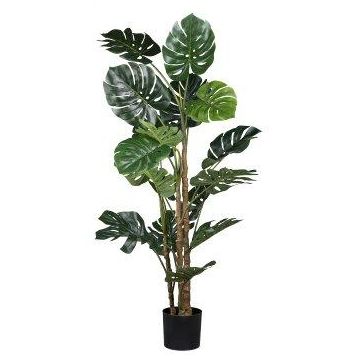 Philodendron Monstera Deliciosa artificiel ZARUM, 160cm