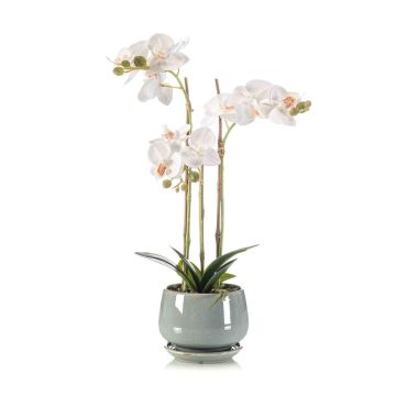Orchidée Phalaenopsis artificielle JOLANA dans un pot en céramique, blanc, 45 cm
