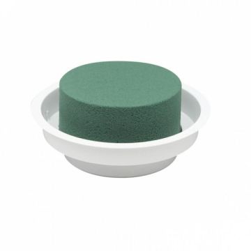 OASIS® Ideal Mousse florale humide en forme de cylindre dans une coupe en plastique, vert-blanc, 5cm, Ø12cm OASIS® Ideal Mousse florale humide en forme de cylindre dans une coupe en plastique, vert-blanc, 5cm, Ø12cm