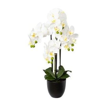 Orchidée Phalaenopsis artificielle UKERNA dans un cache-pot en résine, blanc, 70cm Orchidée Phalaenopsis artificielle UKERNA dans un cache-pot en résine, blanc, 70cm