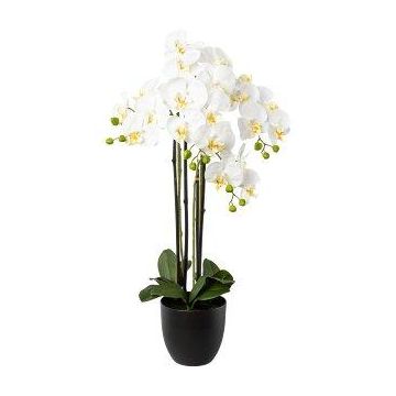 Orchidée Phalaenopsis artificielle UKERNA dans un cache-pot en résine, blanc, 85cm Orchidée Phalaenopsis artificielle UKERNA dans un cache-pot en résine, blanc, 85cm