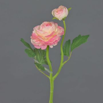 Renoncule décorative LIOFA, rose-crème, 35cm