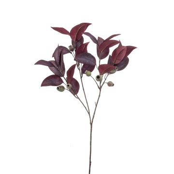 Branche d'eucalyptus décorative VIZIMIR avec des fruits, rouge bourgogne, 80cm Branche d'eucalyptus décorative VIZIMIR avec des fruits, rouge bourgogne, 80cm
