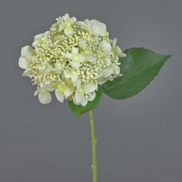 Fleur artificielle Hortensia CALESA, blanc, 50cm