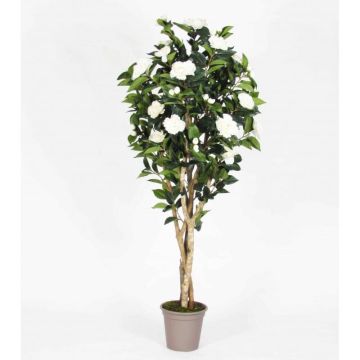 Faux camélia JEMIMANE, troncs naturels, avec des fleurs, blanc, 300cm - Made in Italy