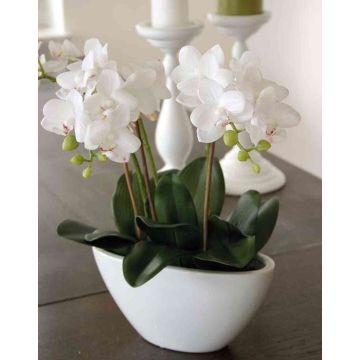 Orchidée artificielle Phalaenopsis JASMIN, coupe en céramique, blanc, 40cm