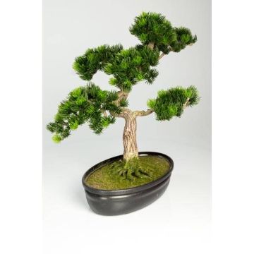 Faux bonsaï pin japonais MELDIN, racines, coupe déco, vert, 40cm