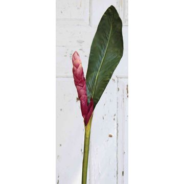 Fleur de gingembre artificielle CEYDA, fuchsia, 115cm
