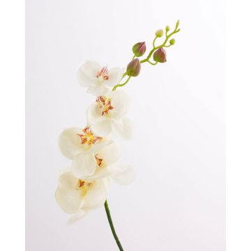 Tige d’orchidée en tissu DAJANA, crème-blanc, 90cm, Ø6-11cm
