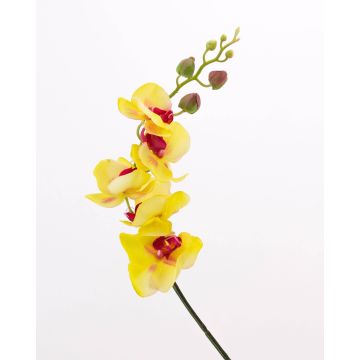 Tige d’orchidée en tissu DAJANA, jaune-fuchsia, 90cm, Ø6-11cm