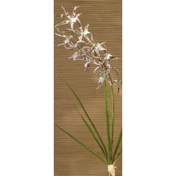 Orchidée Odontoglossum artificielle ZOFIA, piquet, crème-brun, 105cm