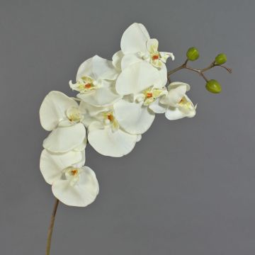 Tige d'orchidée Phalaenopsis en tissu RICKY, blanc, 105cm