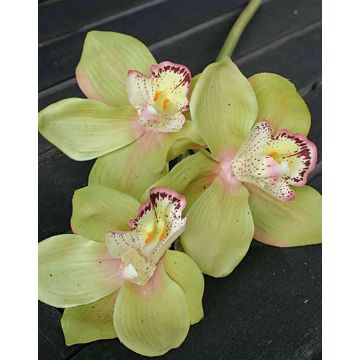 Tige d'orchidée Cymbidium artificielle SERAPHINA, vert-rose, 45cm