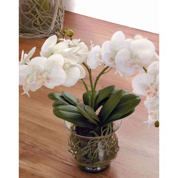 Orchidée Phalaenopsis artificielle ASTORIA en verre, crème, 60cm