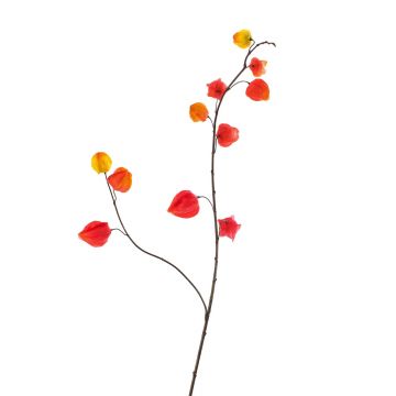 Branche de Physalis artificielle MARCY, fruits, rouge-orange, 95cm