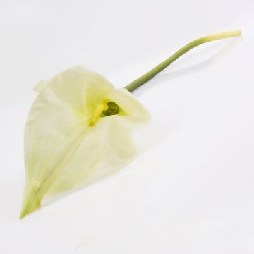 Faux Calla CRISTINA, blanc-vert, 105cm, 14x27cm