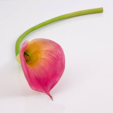 Faux Calla TERESA, fuchsia-jaune, 70cm, 10x18cm