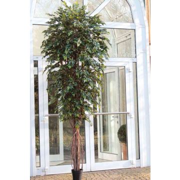 Arbre artificiel Ficus Benjamini YONDALA, troncs naturels, vert, 300cm