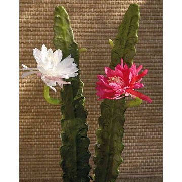 Cactus artificiel reine de la nuit DOMENICA, fleur, fuchsia, 50cm