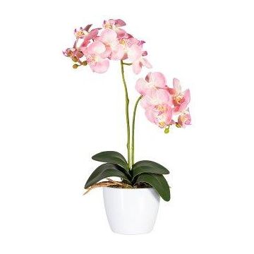 Fleur décorative Orchidée Phalaenopsis FRUXO, piquet, racines, rose, 50cm