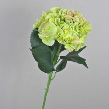 Hortensia artificiel ANGELINA, crème-vert, 70cm, Ø23cm