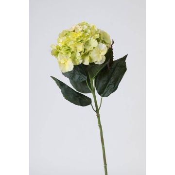 Hortensia artificiel ANGELINA, crème-vert, 70cm, Ø23cm