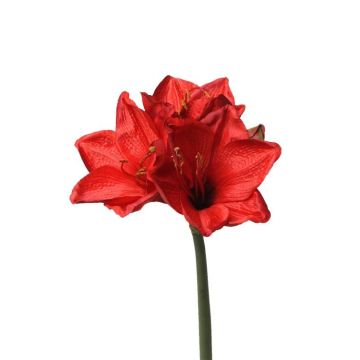 Amaryllis en tissu BENITA, rouge, 55cm, Ø10cm