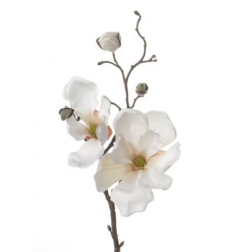 Magnolia en soie MALBINE, crème, 50cm, Ø6-10cm