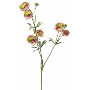 Renoncule en tissu YARIS, vert-rose fuchsia, 65cm, Ø3-4,5cm