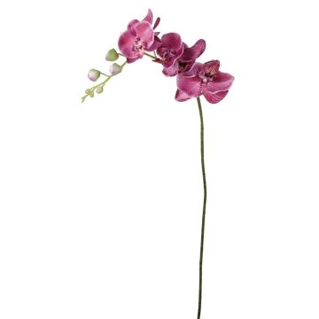 Tige artificielle d'orchidée Phalaenopsis AMARNE, fuchsia, 90cm