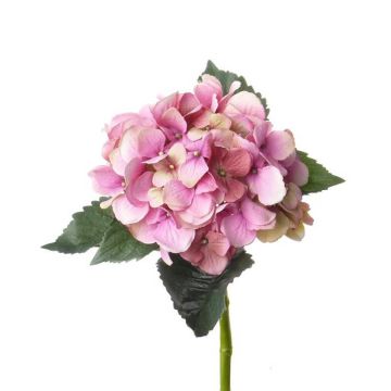 Hortensia en soie ANTONIA, rose, 50cm, Ø15cm